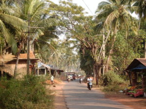 things_to_do_in_goa_off_the_beaten_track