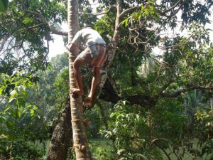 things_to_do_in_goa_off_the_beaten_track