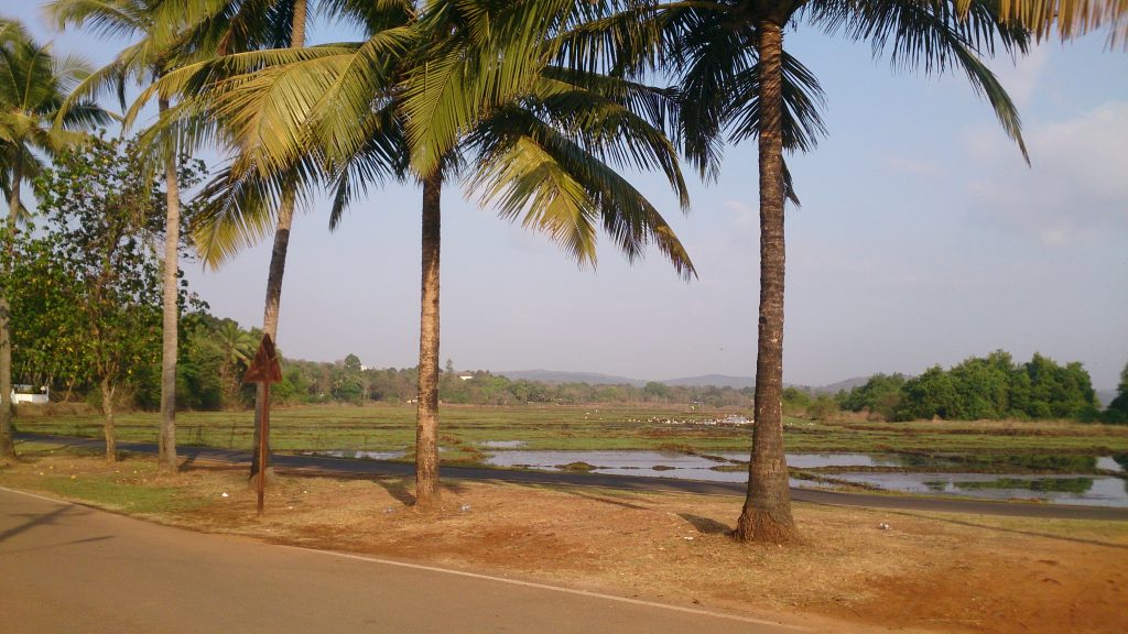 Rachol village Rachol village
